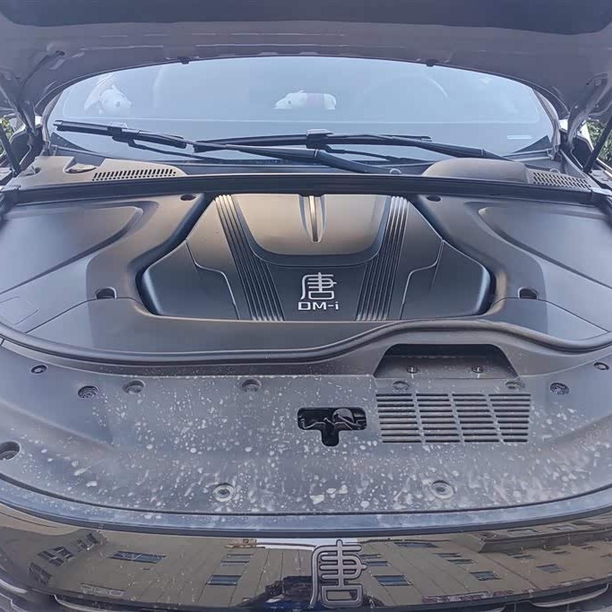 Tang New Energy 2025 DM-i Intelligent Driving Edition 115KM Premium Edition Tang New Energy 2025 DM-i Intelligent Driving Edition 115KM Premium Edition