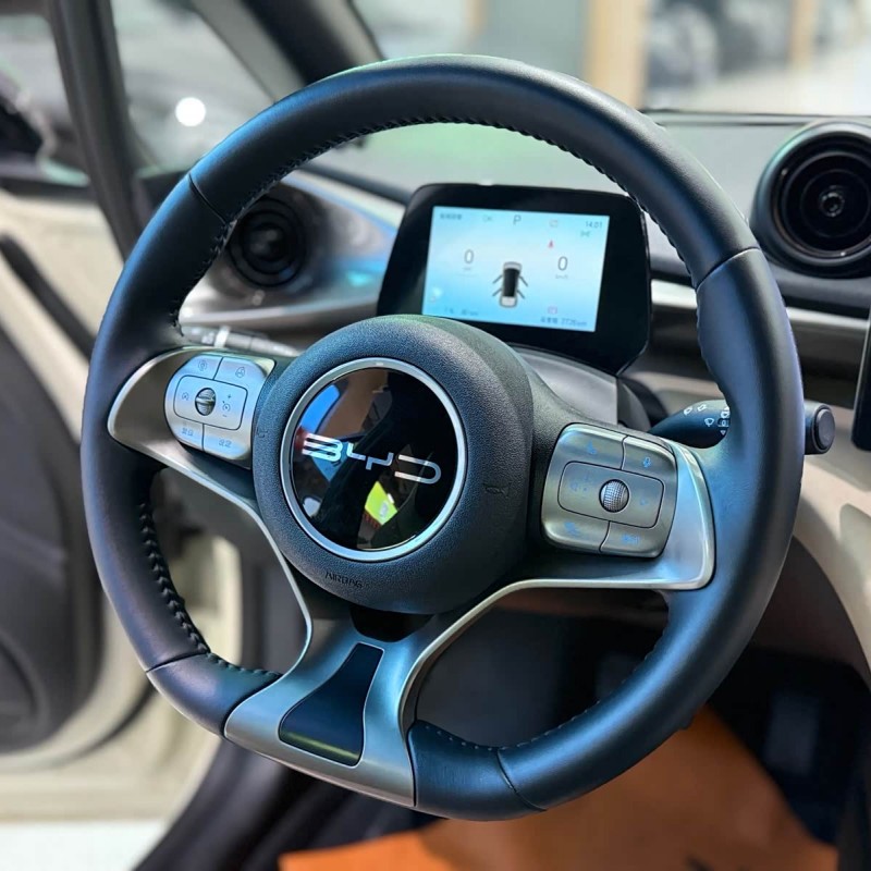 Dolphin 2024 Glory Edition 420km Fashion Edition Dolphin 2024 Glory Edition 420km Fashion Edition