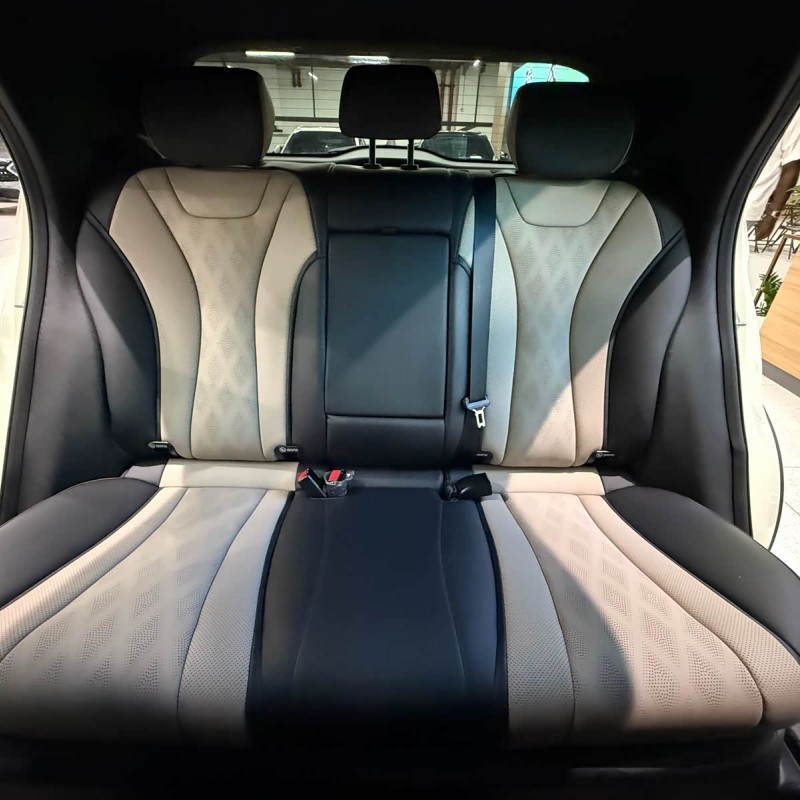 Dolphin 2024 Glory Edition 420km Fashion Edition Dolphin 2024 Glory Edition 420km Fashion Edition