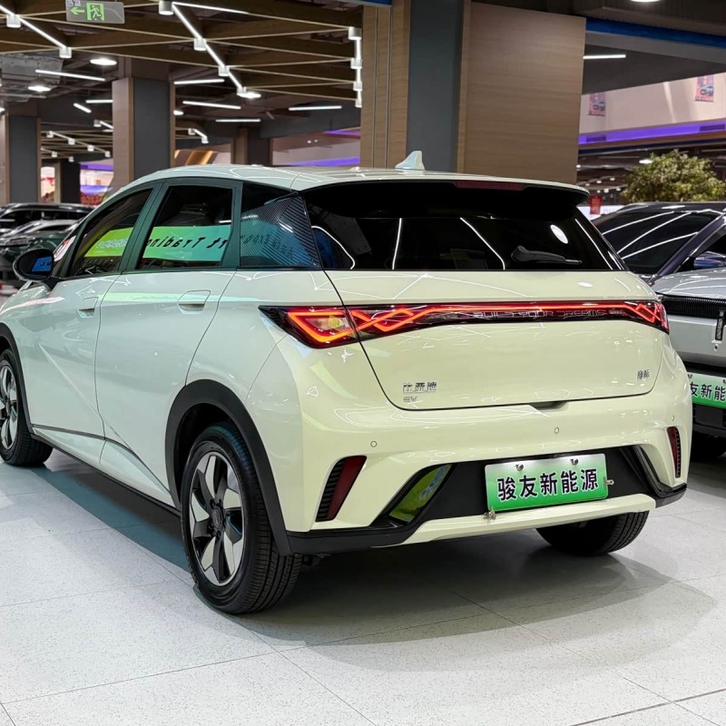 Dolphin 2024 Glory Edition 420km Fashion Edition Dolphin 2024 Glory Edition 420km Fashion Edition