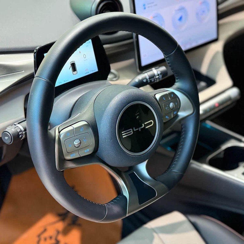 Dolphin 2024 Glory Edition 420km Fashion Edition Dolphin 2024 Glory Edition 420km Fashion Edition
