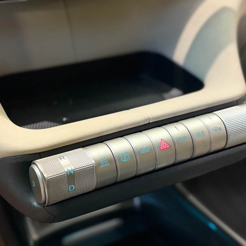 Dolphin 2024 Glory Edition 420km Fashion Edition Dolphin 2024 Glory Edition 420km Fashion Edition