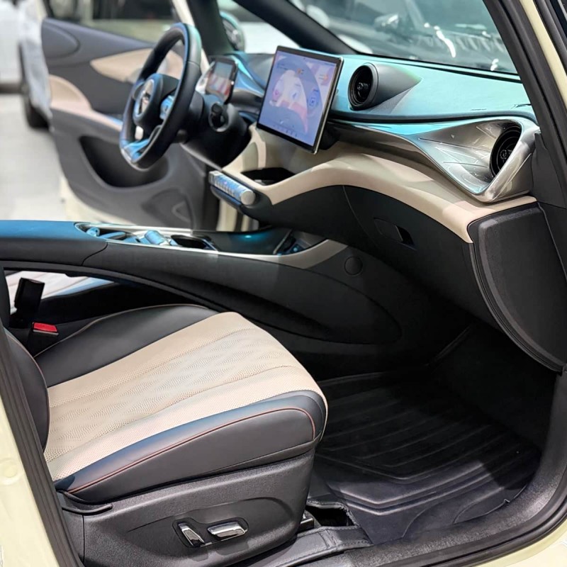 Dolphin 2024 Glory Edition 420km Fashion Edition Dolphin 2024 Glory Edition 420km Fashion Edition