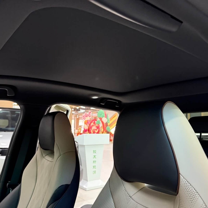 Dolphin 2024 Glory Edition 420km Fashion Edition Dolphin 2024 Glory Edition 420km Fashion Edition