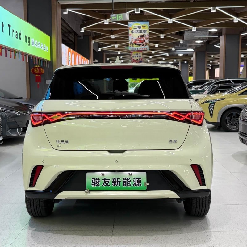 Dolphin 2024 Glory Edition 420km Fashion Edition Dolphin 2024 Glory Edition 420km Fashion Edition