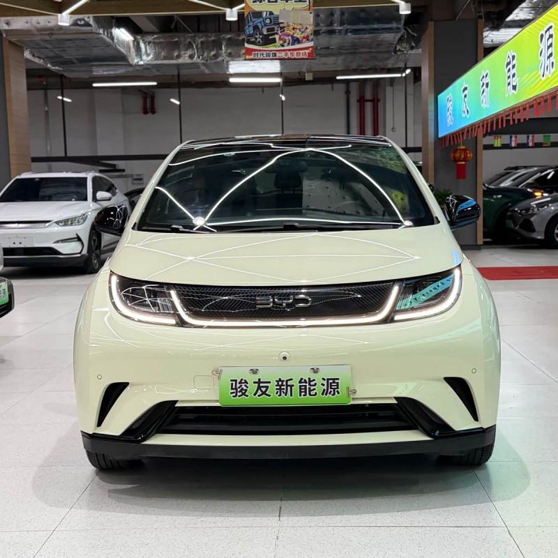 Dolphin 2024 Glory Edition 420km Fashion Edition Dolphin 2024 Glory Edition 420km Fashion Edition