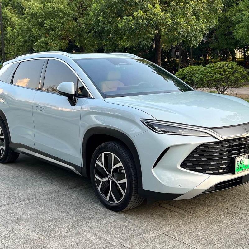Song L DM-i 2024 model 160km surpassing model Song L DM-i 2024 model 160km surpassing model