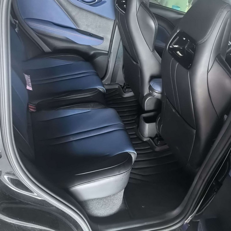 Seagull 2024 Glory Edition 305km Vitality Edition Seagull 2024 Glory Edition 305km Vitality Edition