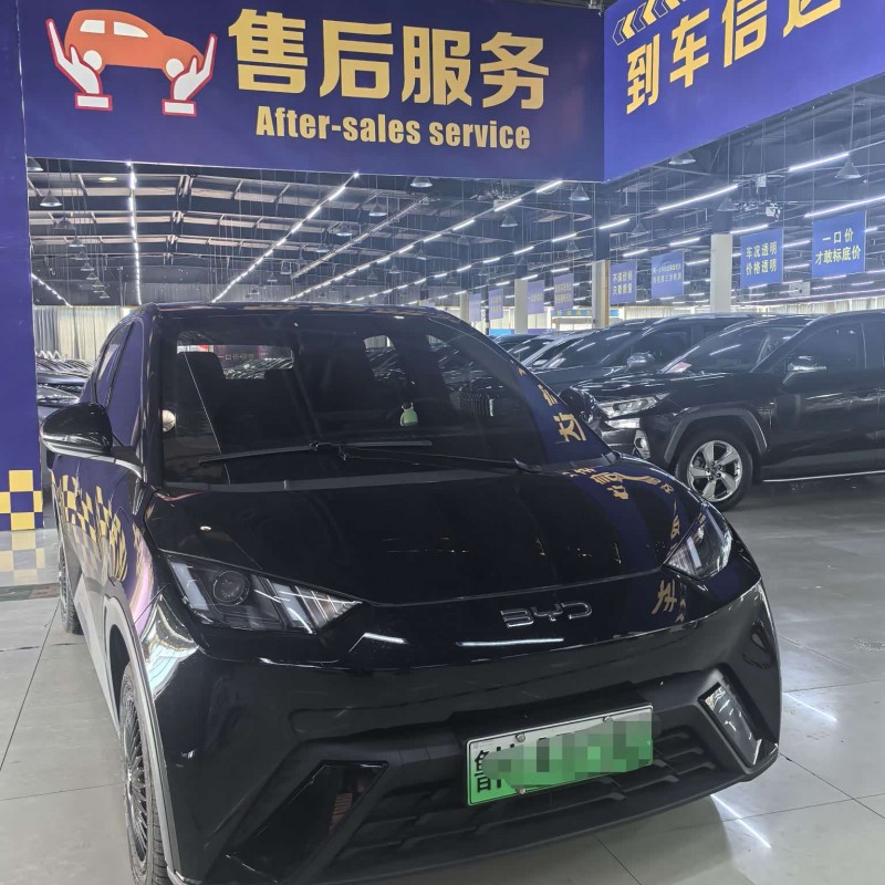 Seagull 2024 Glory Edition 305km Vitality Edition