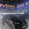 Seagull 2024 Glory Edition 305km Vitality Edition