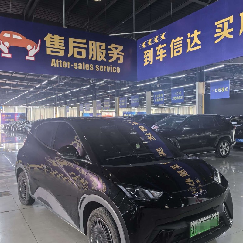 Seagull 2024 Glory Edition 305km Vitality Edition Seagull 2024 Glory Edition 305km Vitality Edition