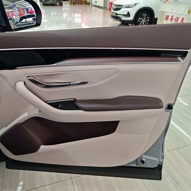 Song PLUS New Energy 2025 DM-i 112KM Premium Edition Song PLUS New Energy 2025 DM-i 112KM Premium Edition