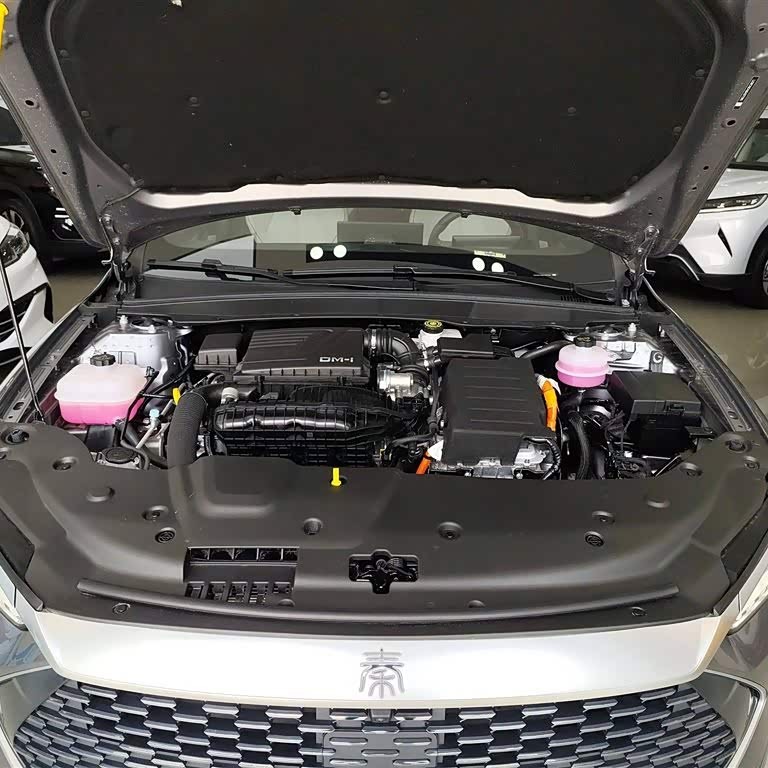 Qin PLUS 2024 Honor Edition DM-i 120KM Beyond Edition Qin PLUS 2024 Honor Edition DM-i 120KM Beyond Edition