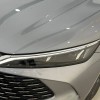 Qin L 2024 DM-i 120KM Leading Edition