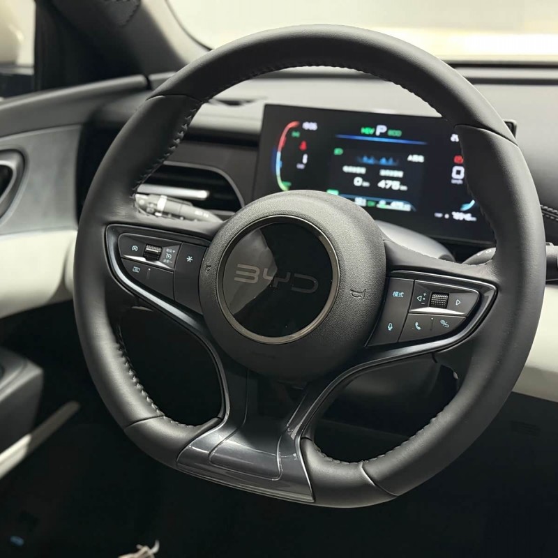 Haibao 06 New Energy 2024 DM-i 80KM Luxury Edition Haibao 06 New Energy 2024 DM-i 80KM Luxury Edition