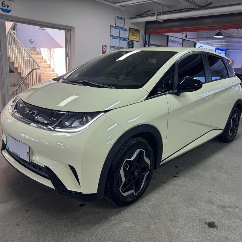 Dolphin 2025 420km Vitality Edition