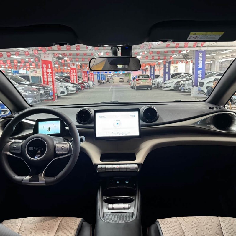 Dolphin 2025 420km Vitality Edition Dolphin 2025 420km Vitality Edition