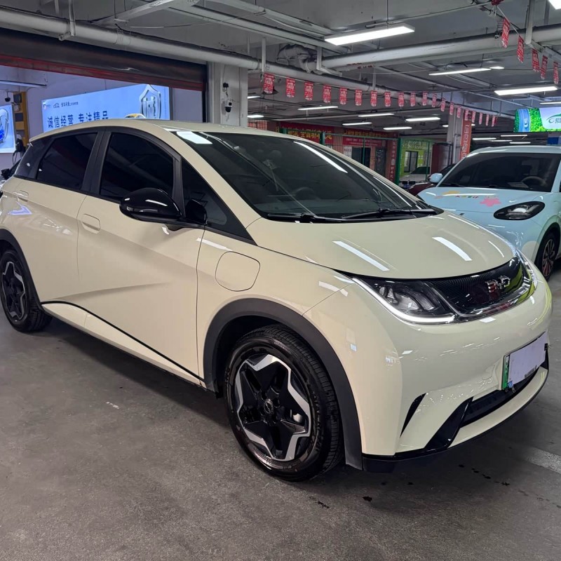 Dolphin 2025 420km Vitality Edition Dolphin 2025 420km Vitality Edition