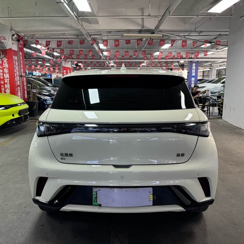 Dolphin 2025 420km Vitality Edition Dolphin 2025 420km Vitality Edition