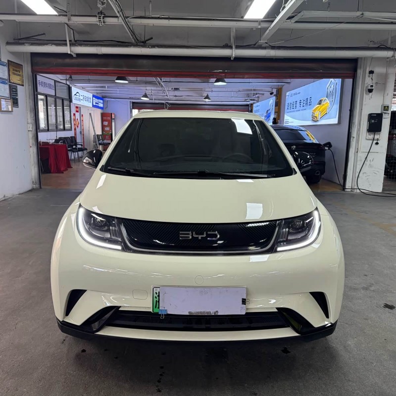 Dolphin 2025 420km Vitality Edition Dolphin 2025 420km Vitality Edition
