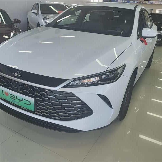 Qin PLUS 2025 DM-i Intelligent Driving Edition 55KM Leading Edition