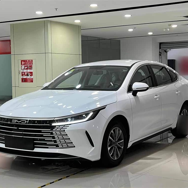 Destroyer 05 2024 Glory Edition DM-i 55KM Luxury Model