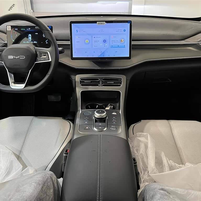 Destroyer 05 2024 Glory Edition DM-i 55KM Luxury Model Destroyer 05 2024 Glory Edition DM-i 55KM Luxury Model