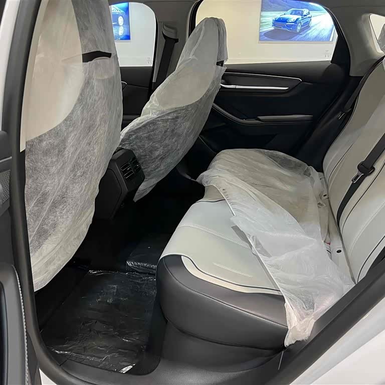 Destroyer 05 2024 Glory Edition DM-i 55KM Luxury Model Destroyer 05 2024 Glory Edition DM-i 55KM Luxury Model
