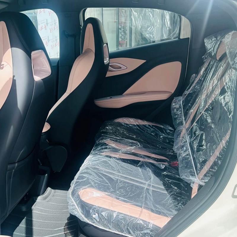 Seagull 2025 Smart Driving Edition 305km Free Edition Seagull 2025 Smart Driving Edition 305km Free Edition