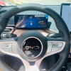 Seagull 2025 Smart Driving Edition 305km Free Edition
