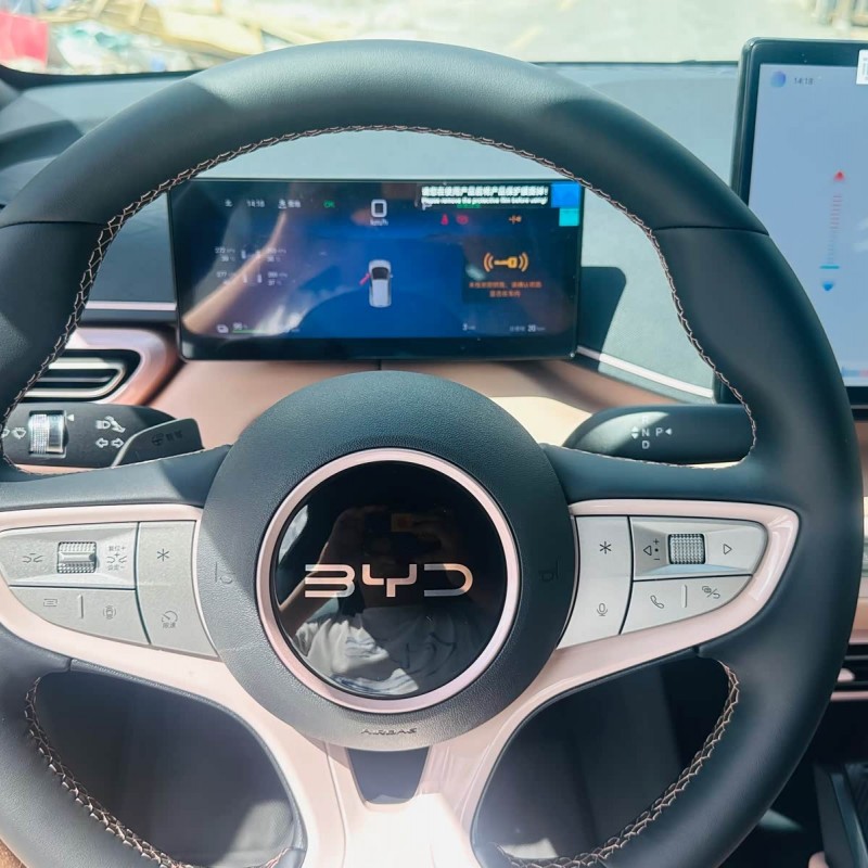 Seagull 2025 Smart Driving Edition 305km Free Edition Seagull 2025 Smart Driving Edition 305km Free Edition