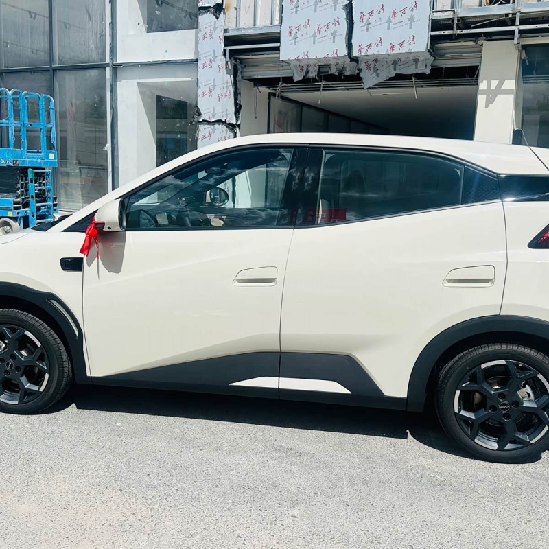 Seagull 2025 Smart Driving Edition 305km Free Edition Seagull 2025 Smart Driving Edition 305km Free Edition