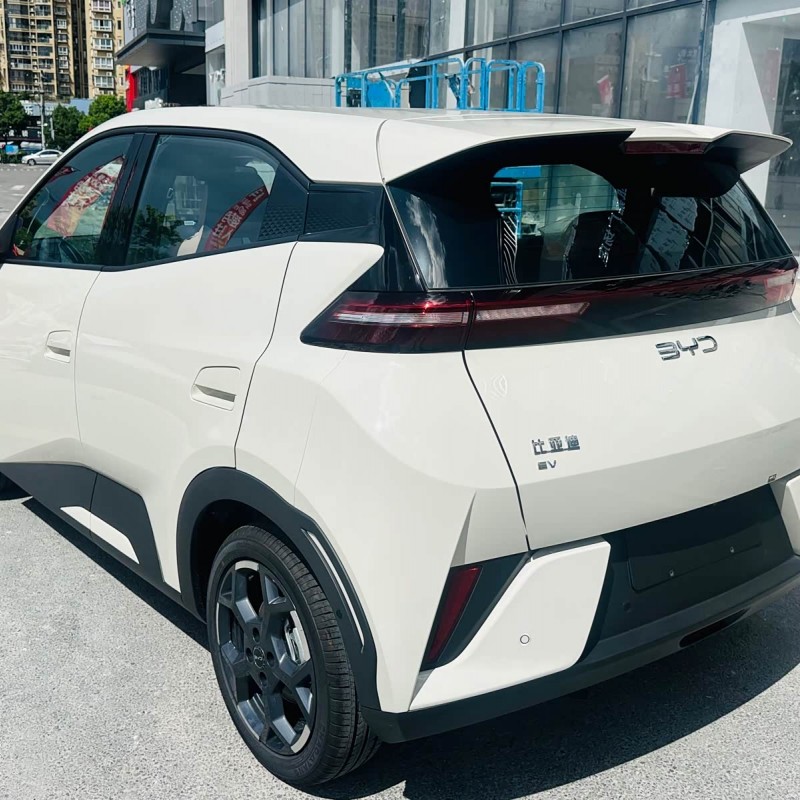 Seagull 2025 Smart Driving Edition 305km Free Edition Seagull 2025 Smart Driving Edition 305km Free Edition