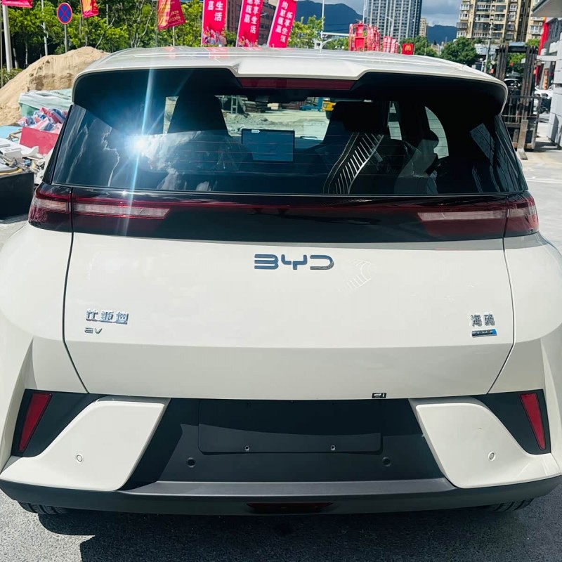 Seagull 2025 Smart Driving Edition 305km Free Edition Seagull 2025 Smart Driving Edition 305km Free Edition