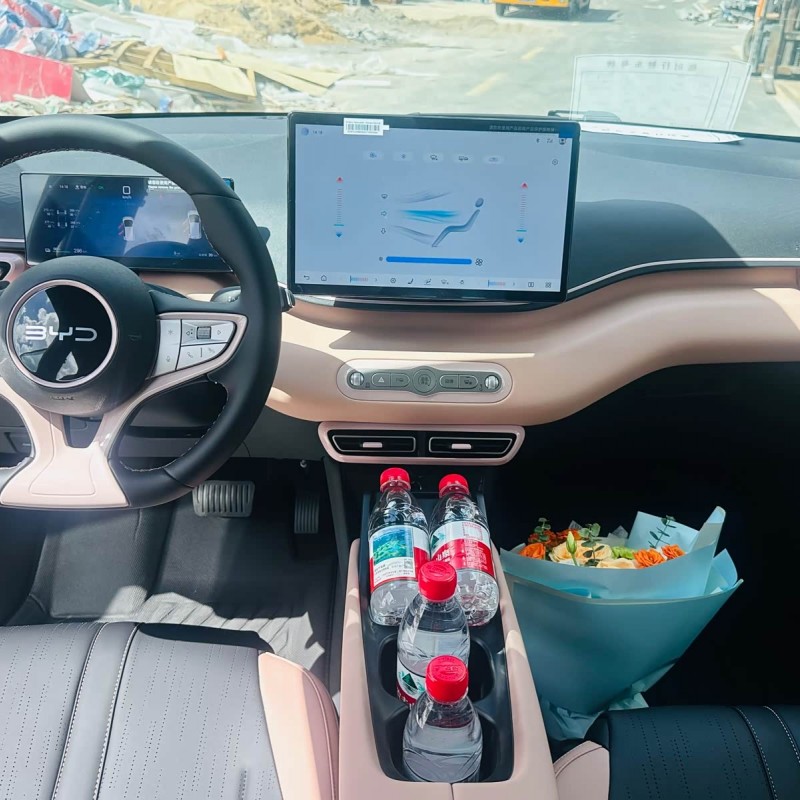 Seagull 2025 Smart Driving Edition 305km Free Edition Seagull 2025 Smart Driving Edition 305km Free Edition