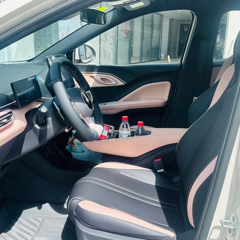 Seagull 2025 Smart Driving Edition 305km Free Edition Seagull 2025 Smart Driving Edition 305km Free Edition