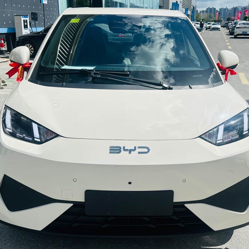 Seagull 2025 Smart Driving Edition 305km Free Edition