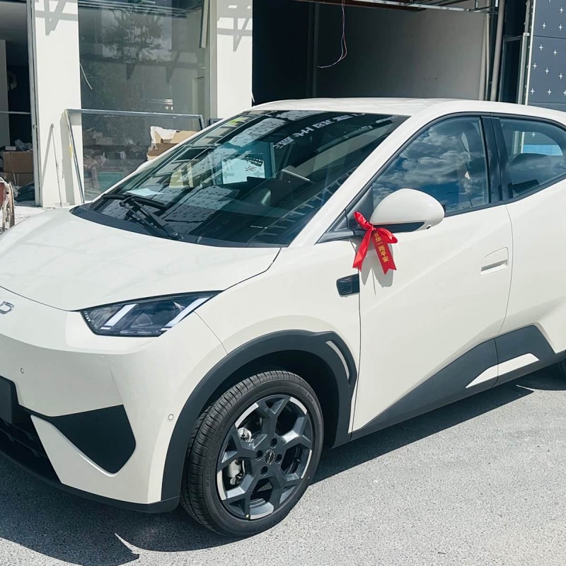 Seagull 2025 Smart Driving Edition 305km Free Edition Seagull 2025 Smart Driving Edition 305km Free Edition