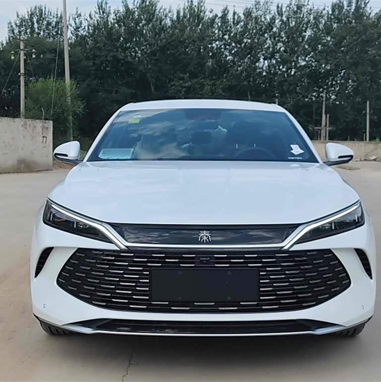 Qin L 2024 DM-i 80KM Beyond Edition Qin L 2024 DM-i 80KM Beyond Edition