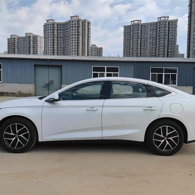 Qin L 2024 DM-i 80KM Beyond Edition Qin L 2024 DM-i 80KM Beyond Edition