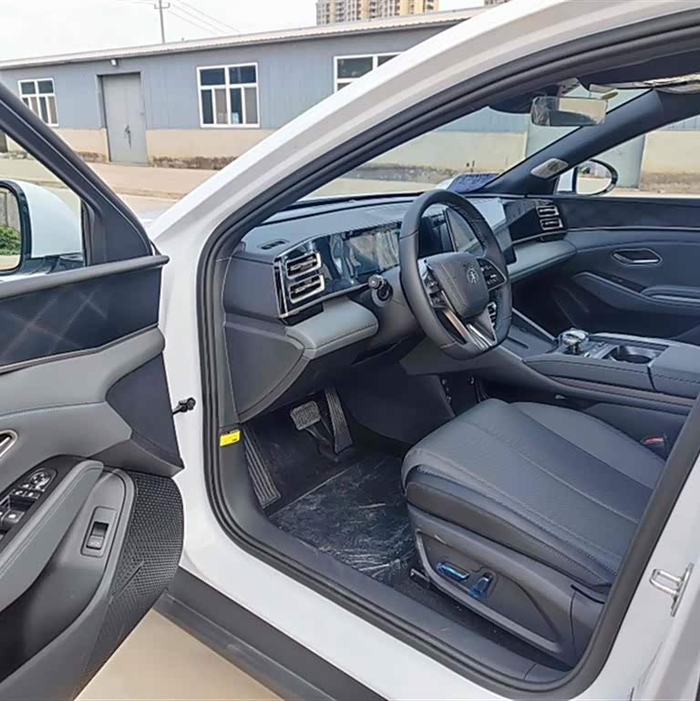 Qin L 2024 DM-i 80KM Beyond Edition Qin L 2024 DM-i 80KM Beyond Edition