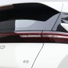Seagull 2025 305km Vitality Edition