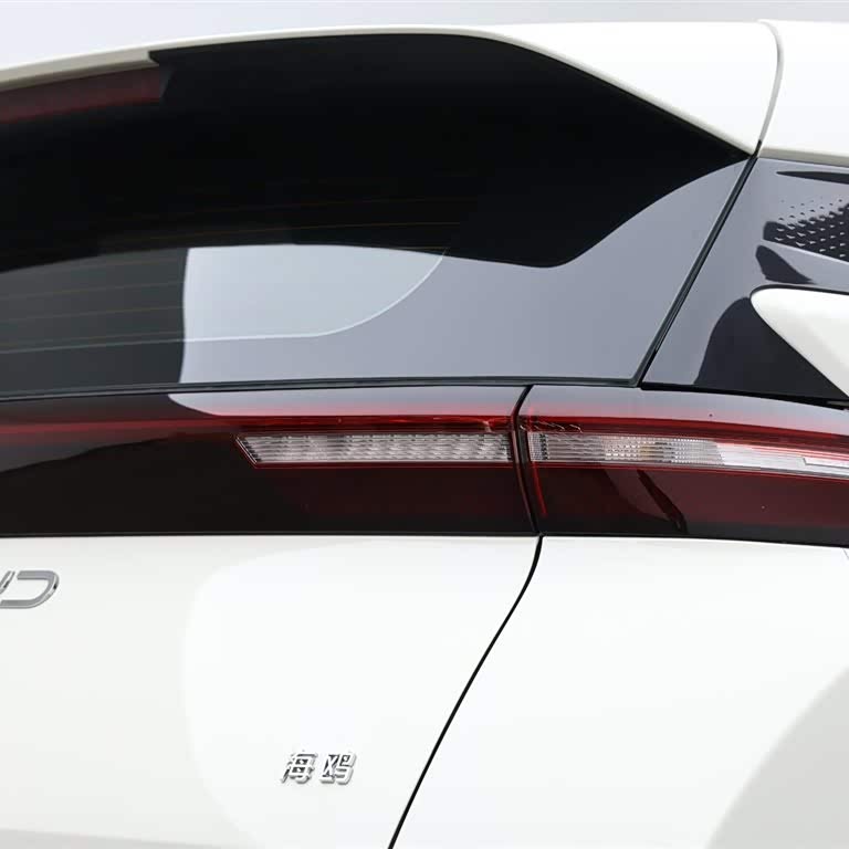 Seagull 2025 305km Vitality Edition Seagull 2025 305km Vitality Edition
