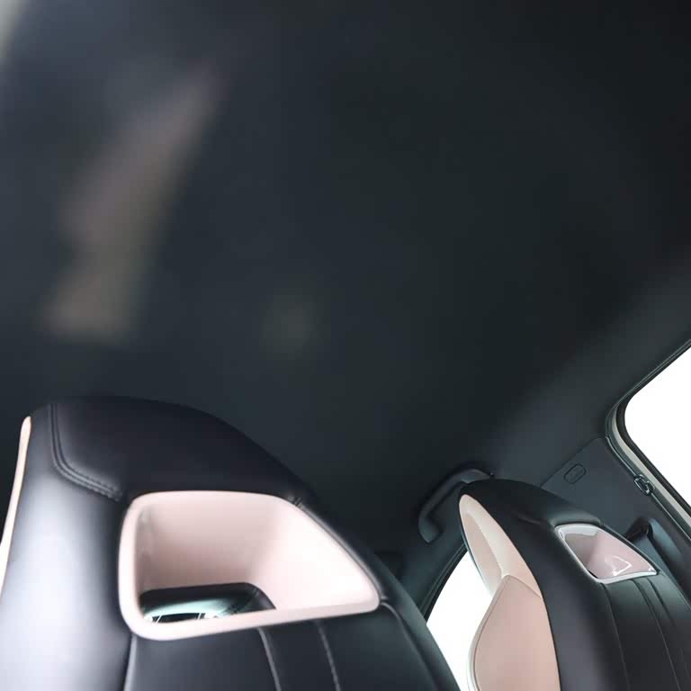 Seagull 2025 305km Vitality Edition Seagull 2025 305km Vitality Edition