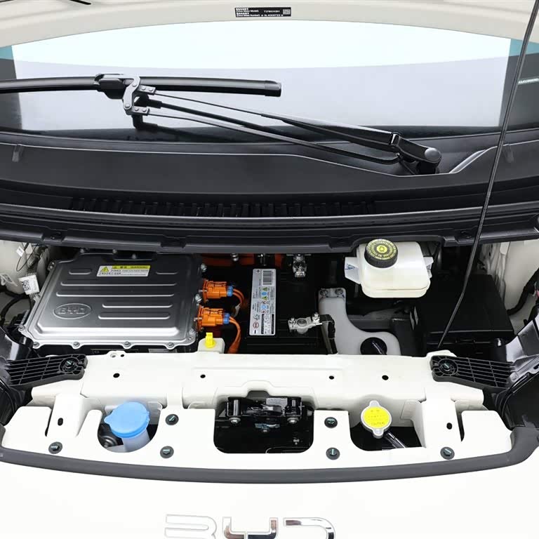 Seagull 2025 305km Vitality Edition Seagull 2025 305km Vitality Edition