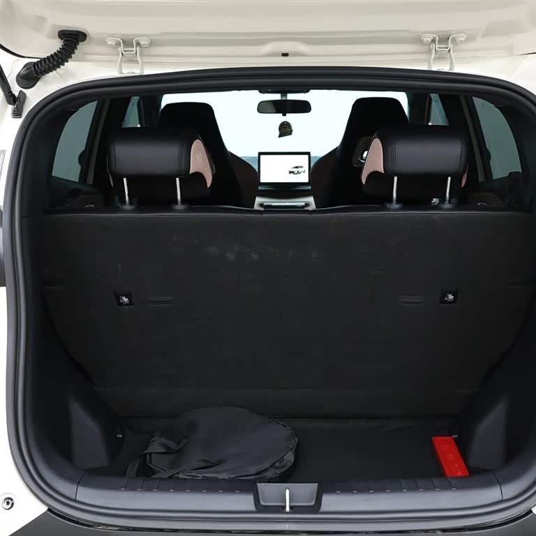 Seagull 2025 305km Vitality Edition Seagull 2025 305km Vitality Edition