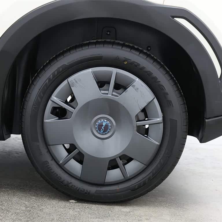 Seagull 2025 305km Vitality Edition Seagull 2025 305km Vitality Edition