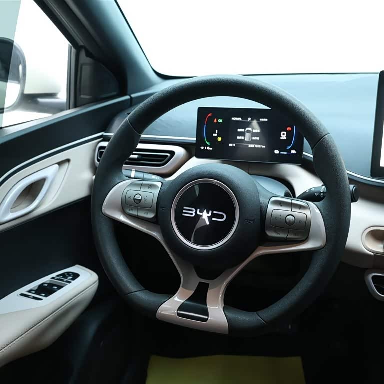 Seagull 2025 305km Vitality Edition Seagull 2025 305km Vitality Edition