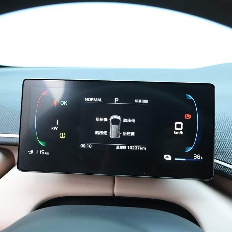 Seagull 2025 305km Vitality Edition Seagull 2025 305km Vitality Edition