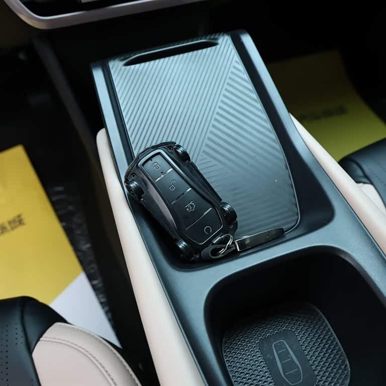Seagull 2025 305km Vitality Edition Seagull 2025 305km Vitality Edition